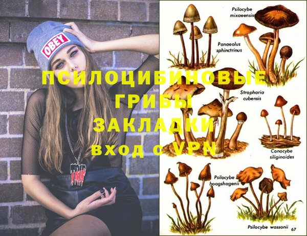 спиды Горнозаводск