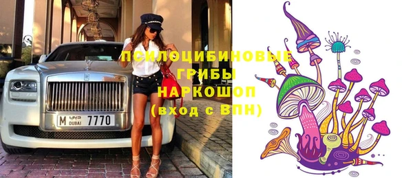спиды Горнозаводск